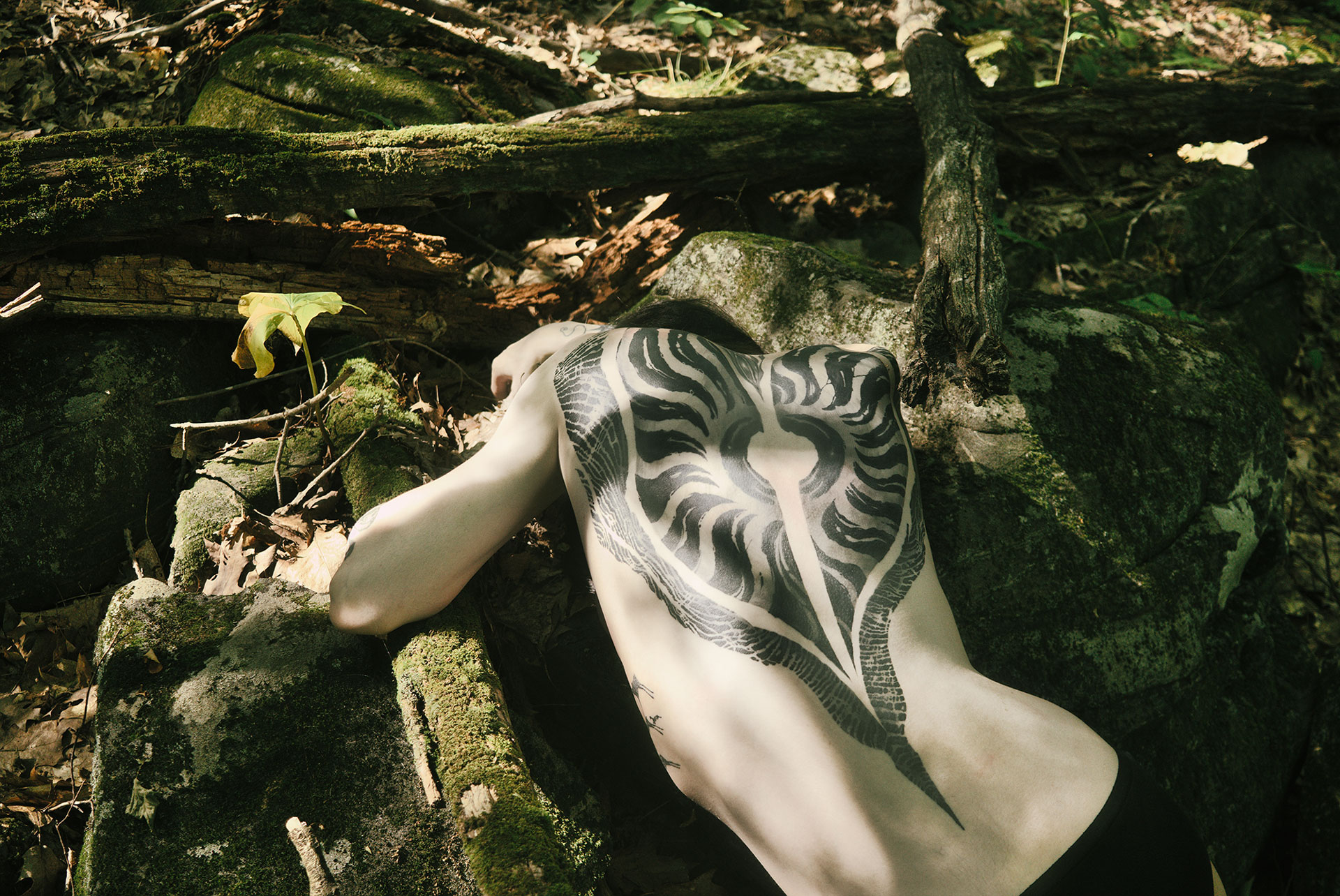 Tatouage par Julie Docteur, Liminal Marks, Ferale